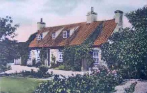 La Fosse Tea Gardens, a hand coloured version of the 1907 photograph