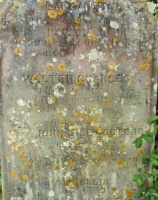 Old Mont a l’Abbe cemetery