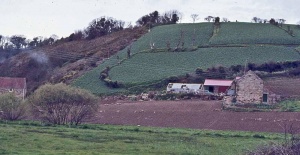 Cotils at St Catherine