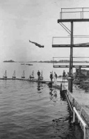 A diver at Havre des Pas