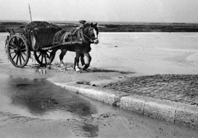 St Ouen's Bay 1952