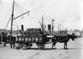 The 1910 potato season