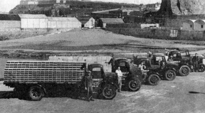 The post-war fleet on the Victoria Pier