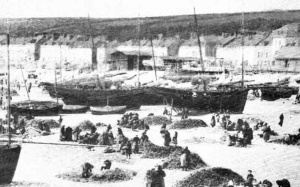 Unloading the catch at Gorey
