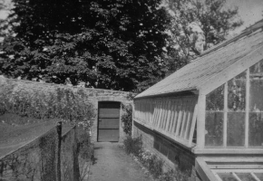 Lower Vegetable Garden: Fruit cage and Greenhouse, in which grew an excellent peach and apricot, 1920s. The wall adjoins Belcroute Hill