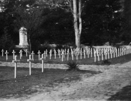 Another picture showing the replacement white crosses