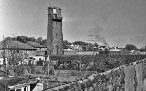 Water tower at the former Bashford's Nurseries site at Longueville