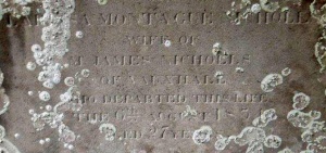 Nicholls, St Saviour