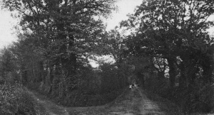 A St John lane - click to see the full-size image and spot the 'hidden' man