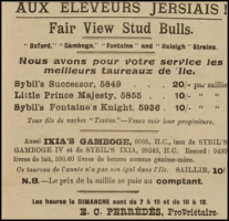 Eugene Charles Perredes advertised his stud bulls in Chronique de Jersey in 1924