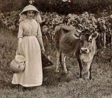 A milkmaid in traditional costume with a heifer