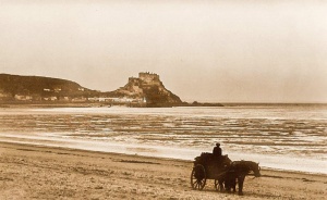 A vraic cart at Gorey