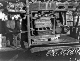 Cider press with an apple crusher in the foreground