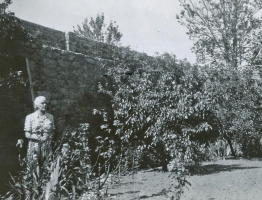 Alice, photographed by Bert on a 1950 visit to Jersey