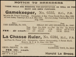 Harold Le Brocq's 1930 advert in Chronique de Jersey