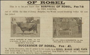 1930 advert in Chronique de Jersey