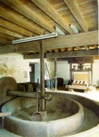 An indoor apple crusher