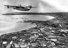 Flamingo over St Helier