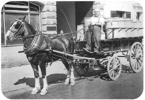 Francis Walter Laurens, 1951