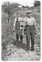 Stonewall Orchard was famous for its apples in the 1930s