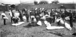 Militia soldiers start to set up camp at Les Quennevais, picture by Percival Dunham