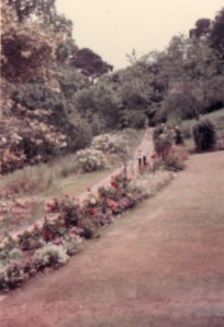 Summer 1963, picture overlooking the Avenue, taken from the North Twin Cottage, looking southward