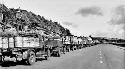Potatoes for export in 1948