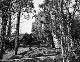 1910 photograph from amateur photographer G W McDougal's album held by Jersey Heritage