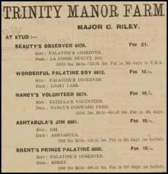 The manor farm's bulls were advertised in 1930 in Chronique de Jersey
