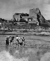 Sand eeling below Mont Orgueil in the late 1940s