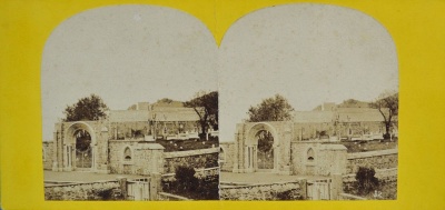 Poulton's photographs