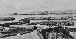 A view of the Harbour from South Hill in about 1880