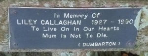 Callaghan - St John’s Church cemetery
