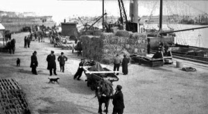 Unloading the ss Guernsey by A Laurens
