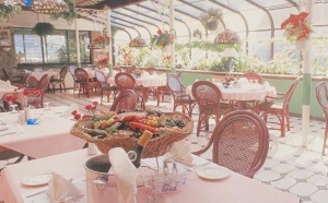 The Borsalino Rocque - a painting by its owner, Brian Skelly