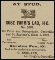 1920 advert in the Chronique de Jersey by G England, of La Hague, Grouville