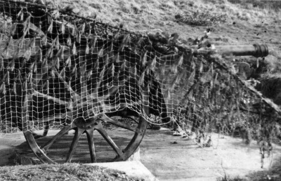 Camouflaged gun at WN La Mare Mill