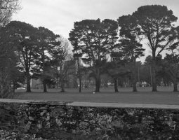 The church viewed through the trees in 1980 - Picture Jersey Evening Post