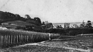 Below St Catherine woods